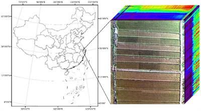 Rice Yield Estimation Using Parcel-Level Relative Spectral Variables From UAV-Based Hyperspectral Imagery